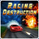 game pic for Racing Destruction